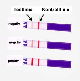 ovulationstest-test-und-kontrolllinie ovulationstest-test-und-kontrolllinie