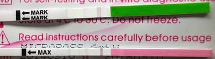 Ovulationstest negativ