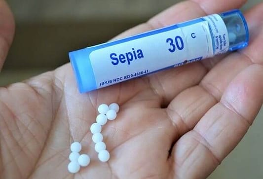 Sepia Homöopathie Sepia Globuli im Überblick