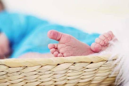 Kryotransfer bei Frauen mit PCOS erfolgreicher