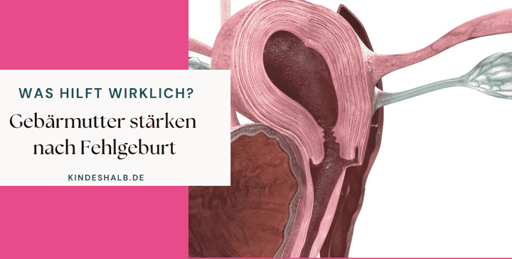 Gebärmutter stärken nach Fehlgeburt